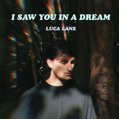 I Saw You in a Dream