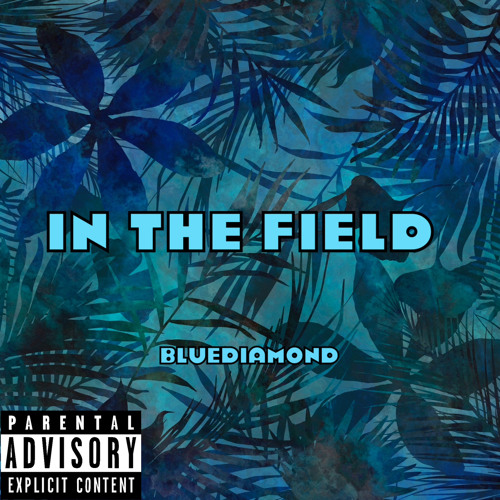 BlueDiamond - In The Field .mp3