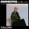 Awakenings Podcast S294 - Callush DJ mix artwork - Electronic music tracklist cover image
