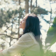Như Lần Đầu (Live) - Nguyên Hà