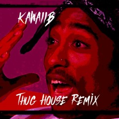 2Pac - Thug Style (KAWAIIB House Remix)