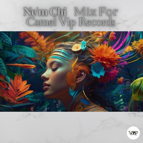 🅽🅴'🅼 🅲🅷🅸 Mix For (Camel VIP Records)