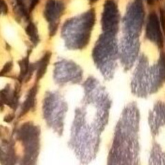 money money w ameen prod ky      #sepiaoftheyear