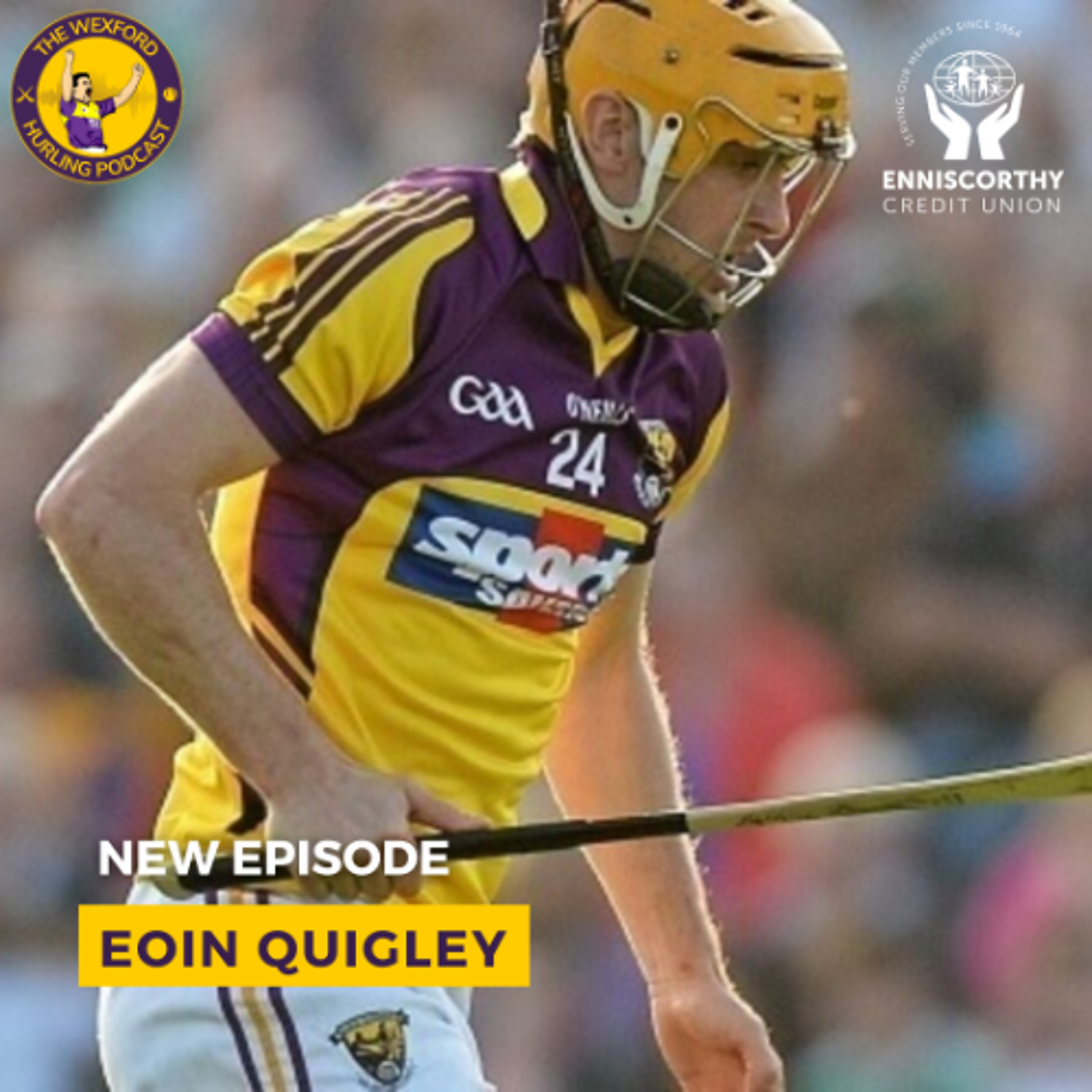 The Wexford Hurling Podcast
