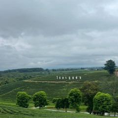 2#stillness sings.mp3