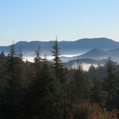 Bonne ligne de Basse