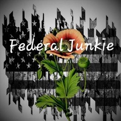 Federal Junkie