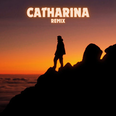 Martin Garrix - Catharina (Lumina Remix)