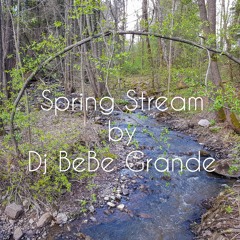 Spring Stream