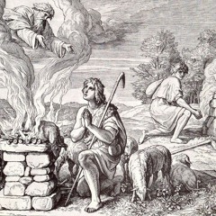 Caín & Abel Freestyle