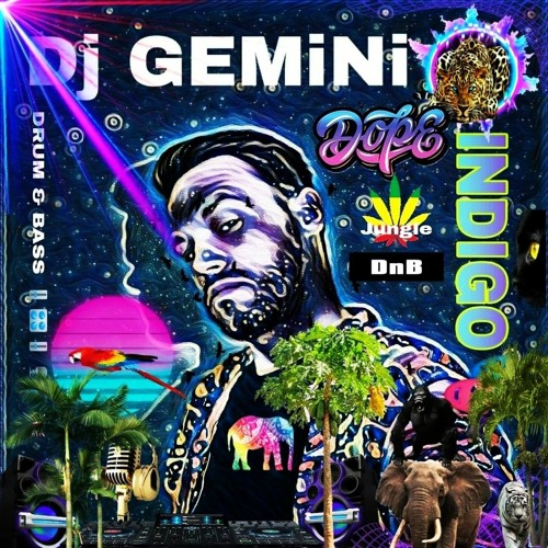 Dj GeMiNi🕉InDiGo La Dance Jr drum and bass album