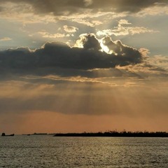 Homayoun Shajarian | Asemane Abri