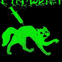 𝕿𝖆𝖓𝖟𝖊𝖓 𝖟𝖚𝖒 𝕶𝖑𝖆𝖓𝖌 𝖉𝖊𝖘 𝖅𝖆𝖚𝖇𝖊𝖗𝖘 …