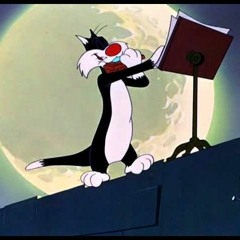 💫🎶 Favorites 🎶💫