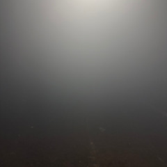 Pfirter - Melt (Hellix Remix) - Free Download