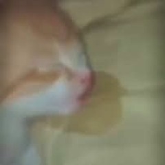 Balls Sleep (Remastered)