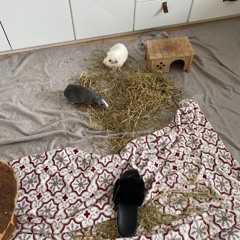 G#m 97bpm boombap - sitter inte hemma