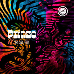 PREMIERE - Prinze - Call My Guru (Darkroom Dubs)