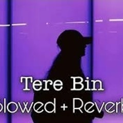 Hum Kahan Kay Sachay Thay (Slowed + reverb) - Yashal Shahid