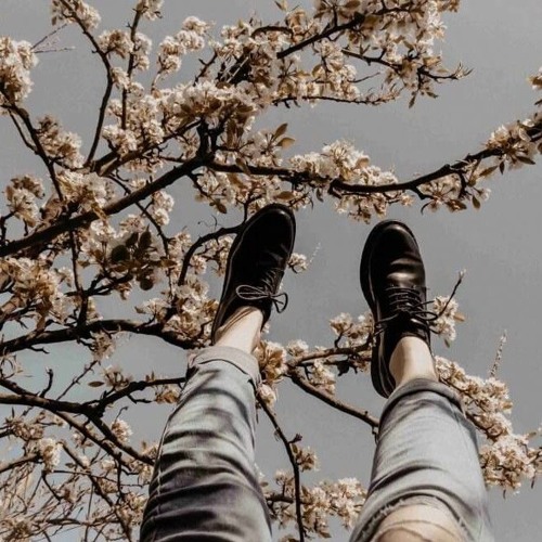 SpringFeelings