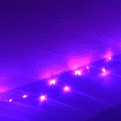 Spice Ft. Vybz Kartel - Conjugal Visit (FAST)