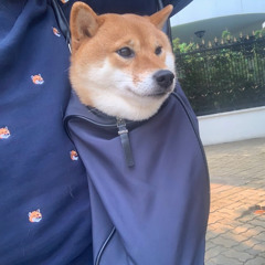 thooloo - bài này nghe dễ ngủ lám