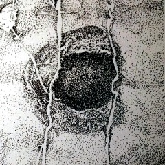 Walking To Saint Ninians Cove