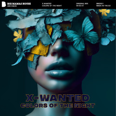 X-Wanted - Colors Of The Night