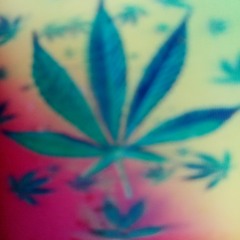 Tesfa reggae