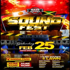 Swatch/Killamanjaro/Ruff Cut/Dela Soul/Yard Beat/Dynamq 2/23 (Sound Fest)