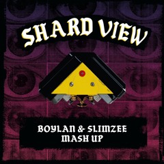 Boylan & Slimzee - MashUp - Clip