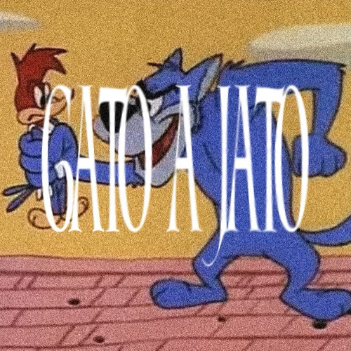 Gato a Jato