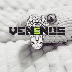 BIG SAFARI FEST FULL SET 2020