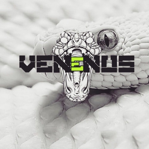 BIG SAFARI FEST FULL SET 2020