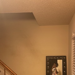 not the wife (anton + grime)