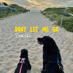 Dont Let Me Go