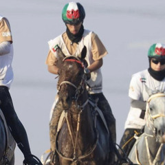 🐎