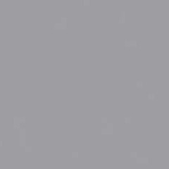 Where in the World Is Grey Vision?