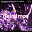 Raindrops (S. Peak Remix)