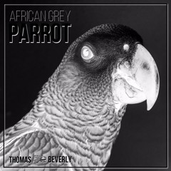 SD22 African Grey Parrot - Pitch Shifted