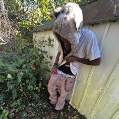 liver disease (prod ok & Soulja)