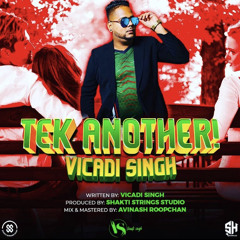 Vicadi Singh - Tek Another (Chutney Soca 2022)