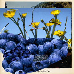 The Girl with the Blueberry Heart