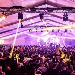 Festival buzz