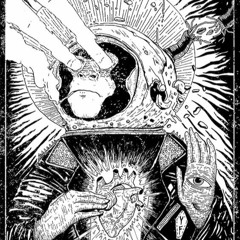 Vision