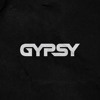 Harder Industries by GYPSY DJ mix artwork - Electronic music tracklist cover image