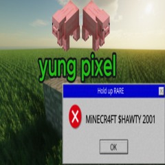 MINECR4FT $HAWTY 2001