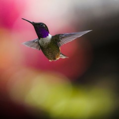 What You're Doing To Me