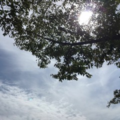 同翻詩歌集 | All | Translated Hymns by Zion Kisung Park